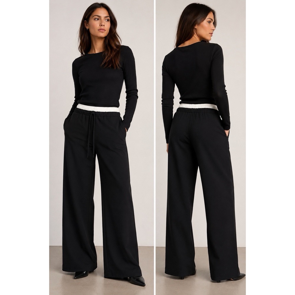 Aritzia Babaton Equity Pant XS Black 95% Wool Wide Leg Double Waistband